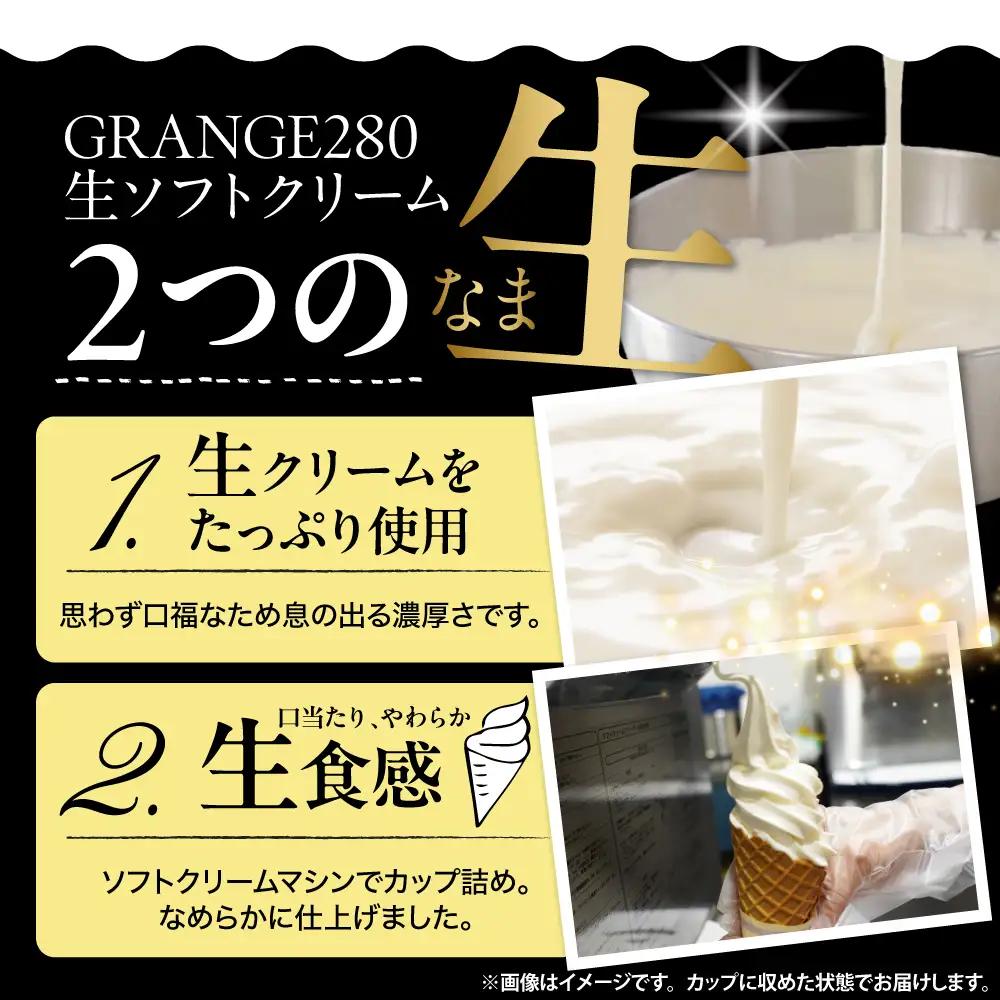 生ソフトクリーム【濃厚ミルク】計10個 ソフトクリーム