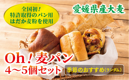パン 無添加 老舗 4～5個セット ブレッド おまかせ ランダム 詰め合わせ ブランド認定 学校給食 朝食 朝ごはん 季節 おすすめ はだか麦 国産小麦 国産素材 おやつ こだわり 食物繊維豊富 安心 安全 篠崎ベーカリー 愛媛 伊予市 ｜B66