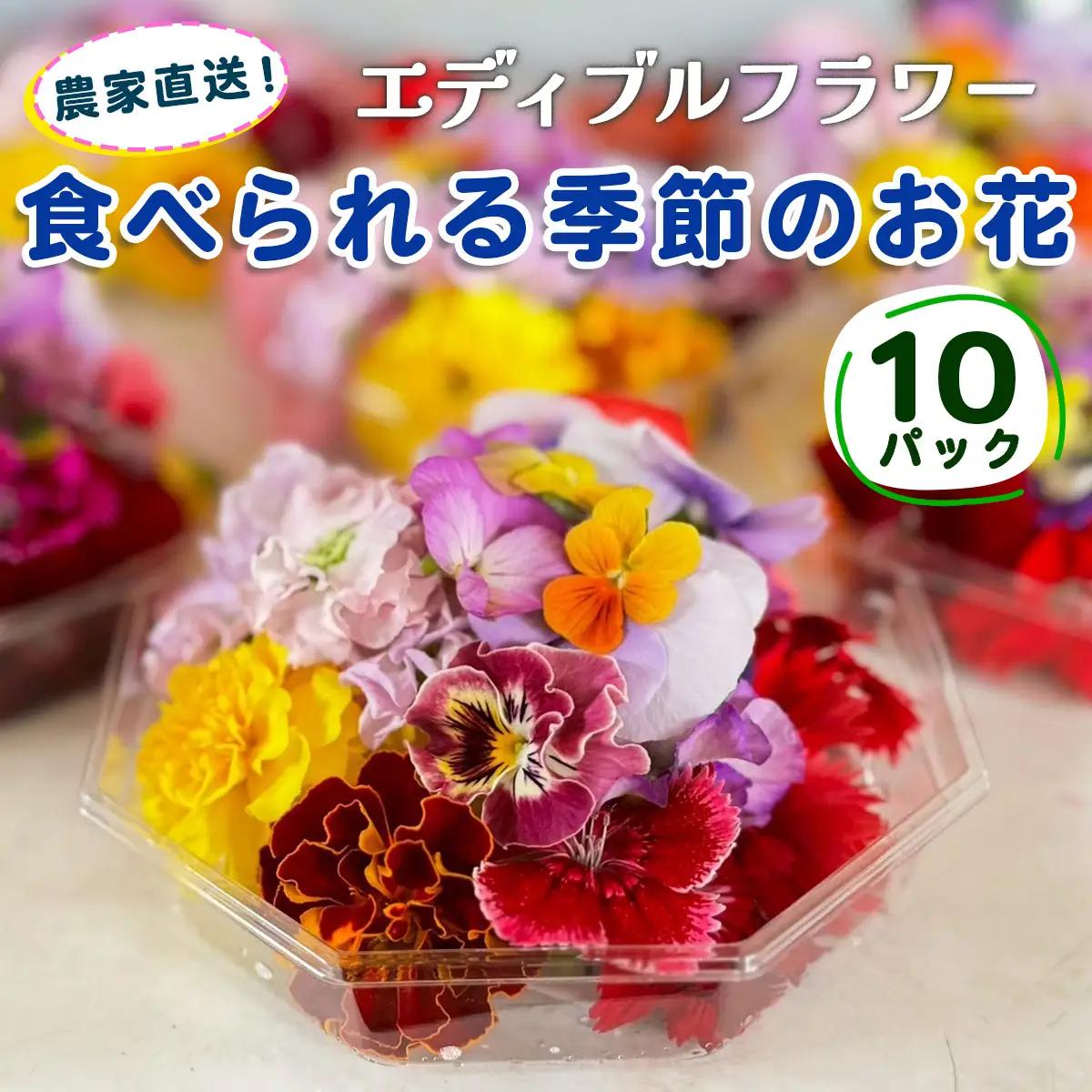 農家直送！加藤さんちのエディブルフラワー 10パック (1パックあたり季節のお花15輪から30輪)｜食用 花 お花 野菜 トッピング 付け合わせ [0765]
