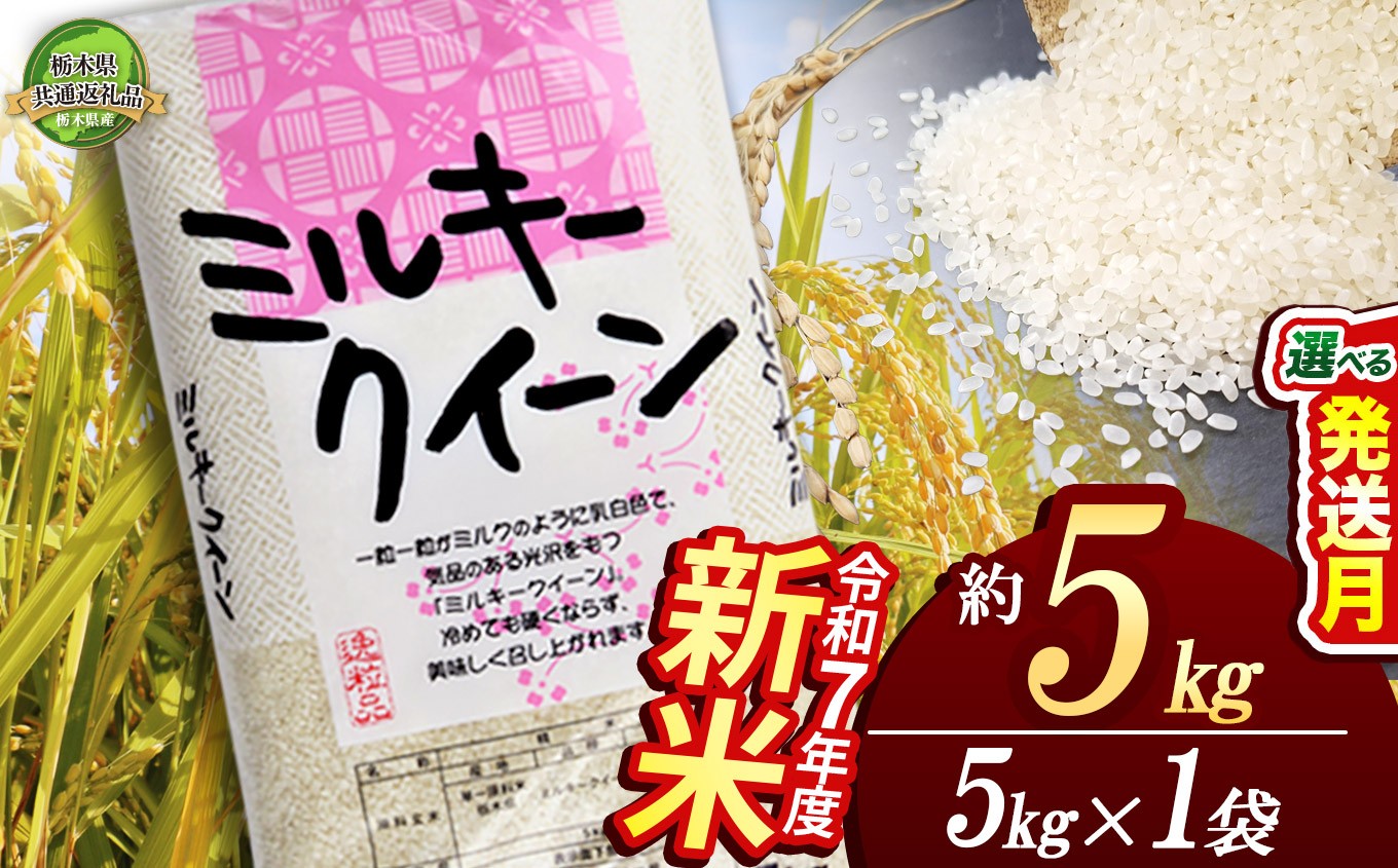 
            新米 ミルキークイーン 5kg | 定期便あり 米 こめ コメ kome 白米 精米 お米 みるきー みるきーくいーん ﾐﾙｷｰｸｲｰﾝ Milky queen ミルキークウィーン もちもち モチモチ ふっくら 新米 栃木米 令和7年度米 令和7年度 2025年度米 2025年度 ブランド米 栃木県 特産品 栃木県共通返礼品 送料無料 栃木県 下野市 しもつけ市
          
