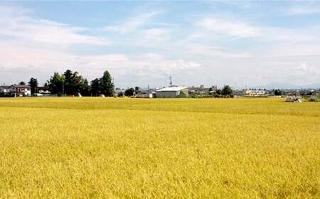 75-7N051新潟県長岡産コシヒカリ5kg（特別栽培米）【2025年9月下旬～10月下旬発送】