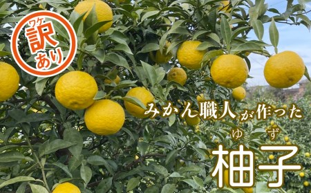訳あり 柚子 5kg 訳あり ゆず 柚子 訳あり 柑橘 果物 訳あり 国産 ゆず 柚子 訳あり フルーツ 有名 訳あり 愛媛 ゆず 訳あり 柚子 みかん 訳あり 職人 武田屋 訳あり 蜜柑 ゆず 柚子 ブランド 大小 ミックス サイズ ゆず 柚子 愛媛県産 果実 ビタミン ゆず 柚子 美味しい 生産者 直送 産直 みかん職人武田屋