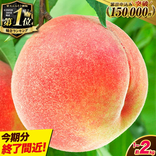 和歌山県産 桃 約2kg 先行予約