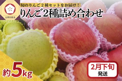 【2025年2月下旬発送】 りんご 5kg サンふじ 王林 他 紅白 詰め合わせ 青森 （16個～20個入）