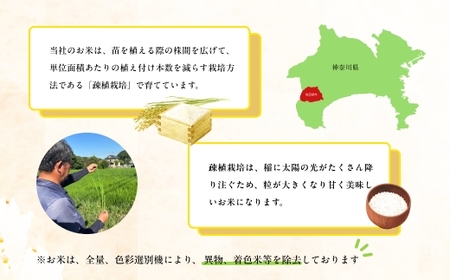 令和7年 新米 南足柄産のブランド米「はるみ(精米)」 5kg×1袋 ＜出荷時期：2025年10月末頃より順次出荷予定＞【 お米 神奈川県 南足柄市 】