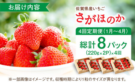【先行予約】【全4回定期便】さがほのか 220g×2パック×4回 / 佐賀県 / 鐘ヶ江農園[41ASBK004]