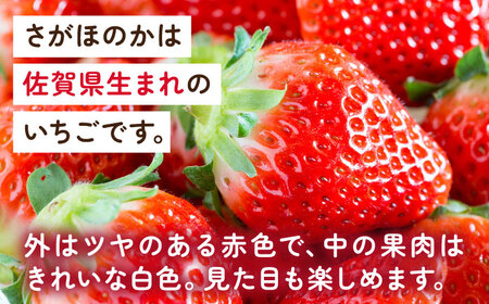 【先行予約】【化粧箱入り】白石産いちご「さがほのか」400g / イチゴ 苺 フルーツ 果物 / 佐賀県 / 岸川農園 [41ASAG003]