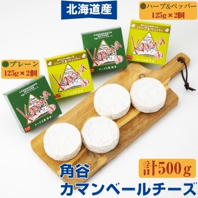 2021年12月発送開始『定期便』角谷 カマンベールチーズセット【125g×4個】全3回【配送不可地域：離島】