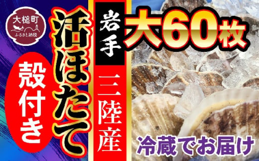 
■朝獲れ 三陸 活 ホタテ セット ( 大 60 枚 ) 生食用
