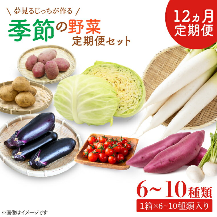 【ふるさと納税】【12ヶ月定期便】夢見るじっちが作る季節の野菜セット　6～10種類入り1箱(CN-14)