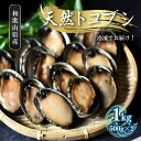 【ふるさと納税】 ＼数量限定／【和歌山県産】 天然トコブシ 1kg (瞬間冷凍) ／ながれこ とこぶし 冷凍 貝 おかず お手軽調理 バーベキュー 国産 瞬間冷凍