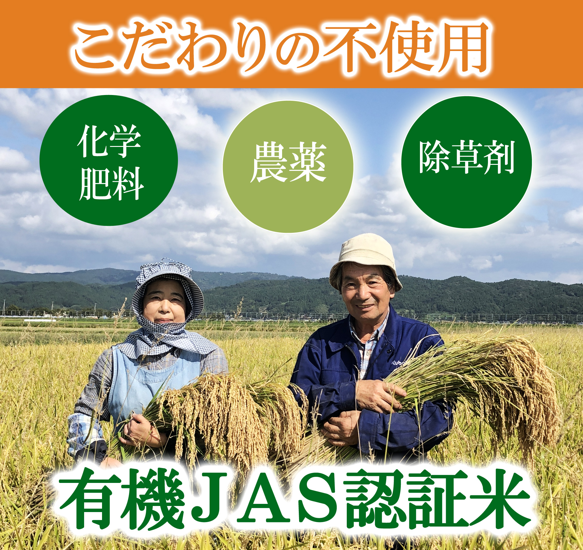 SA2354　令和6年産【玄米】コシヒカリ5kg〔有機JAS認証米〕 HA