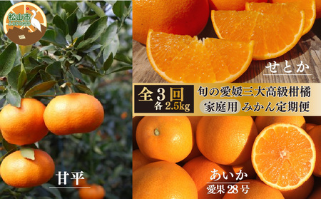 【2025年12月上旬から発送】【定期便 全3回】旬の愛媛三大高級柑橘 家庭用 【愛果28号 せとか 甘平】約2.5kg | 柑橘 みかん 果物 あいか 紅まどんな と同品種 くだもの フルーツ おすすめ 高級 人気 お取り寄せ グルメ ギフト 期間限定 数量限定 ご当地 愛媛県 松山市【SU013】