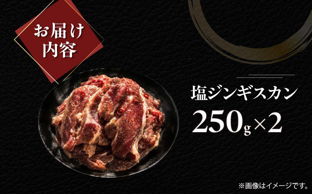 塩ジンギスカン250g×2 MROA225 １回 ２パック
