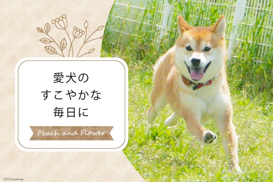 犬用 ジャーキーセット 鶏ささみスティック & 鶏むね肉のチップス (4種6袋 各30g ) / ピーチアンドフラワー / 北海道 歌志内市 [01227ae028 ] ペットフード ドッグフード 犬