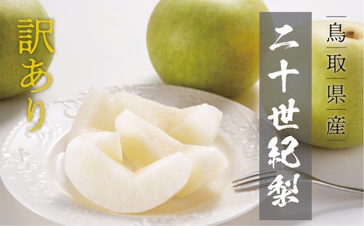 
            【訳あり】二十世紀梨 4kg
          