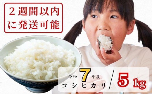 【令和7年産】あわくら源流米 コシヒカリ白米 5kg｜西粟倉村産・昼夜寒暖差が育む甘み｜ふるさと納税 K-af-AEJA