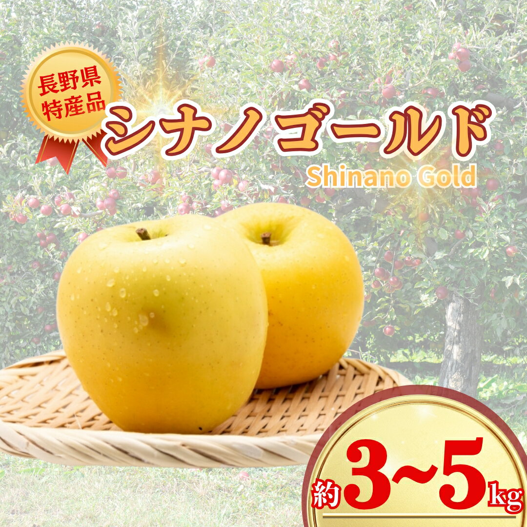 【ふるさと納税】【2026年先行予約】シナノゴールド 約3kg / 約5kg｜ 果物 フルーツ リンゴ 林檎 シナノゴールド 千曲市 長野県 信州