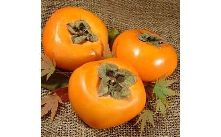  和歌山の 種なし 柿 約7.5kg 秀品 サイズ・品種おまかせ / かき 柿 たねなし柿 和歌山 ※2026年9月下旬～11月下旬頃に順次発送予定(お届け日指定不可)  【kmtb801B】