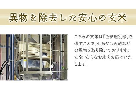 【2026年6月中旬発送】令和7年産 【やわらかく炊ける玄米】つや姫 10kg 米 山形 天童 08-01-215-06B