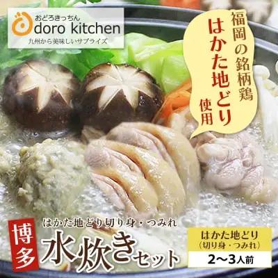 Z69-21 寄附額改定↓↓ おどろきっちん 博多水炊きセット 2～3人前 水炊き