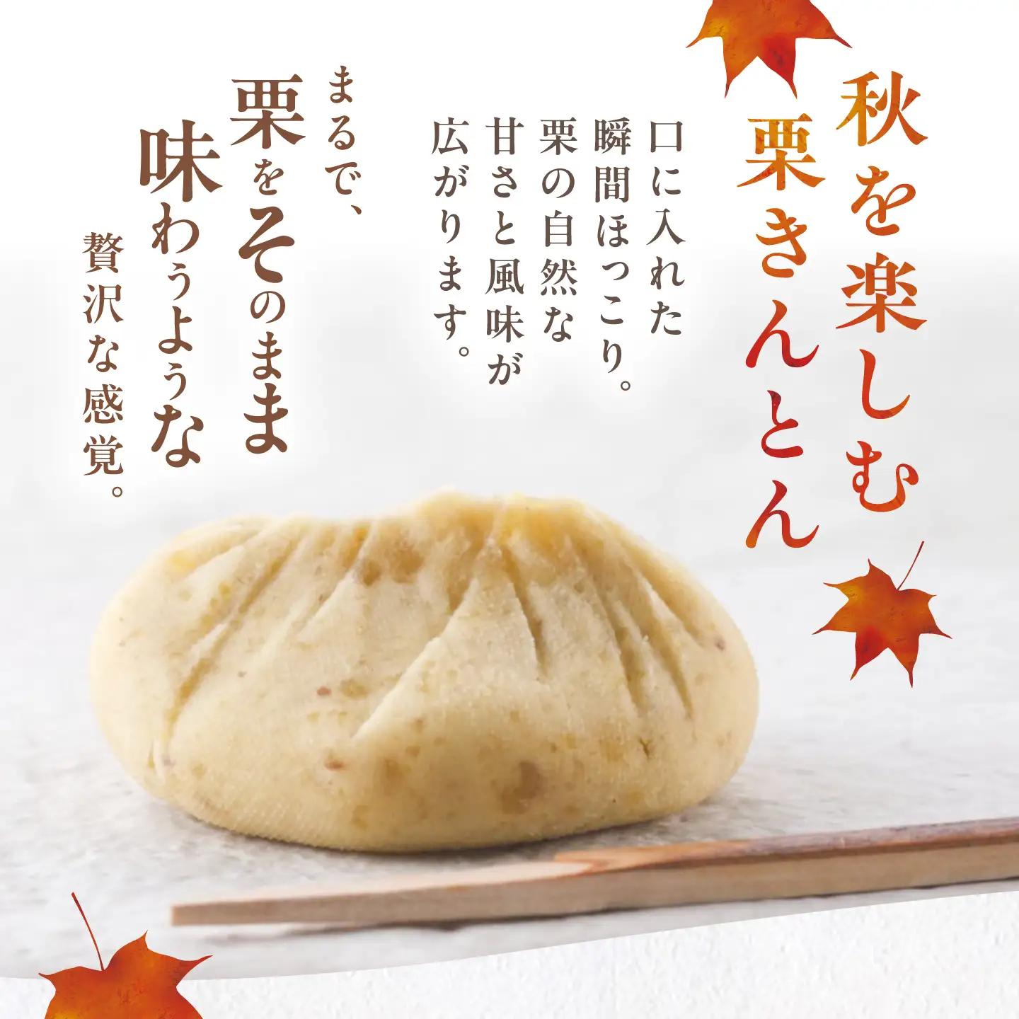【先行予約】【着日指定可】 恵那寿やの栗きんとん 10個入 / 恵那市 / 恵那寿や [AUAS009]