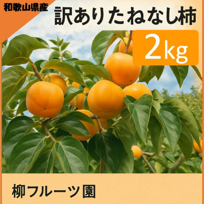 
            ＜先行予約＞たねなし柿(訳あり) 約2kg＜2026年秋冬配送＞柳フルーツ園【1430462】
          