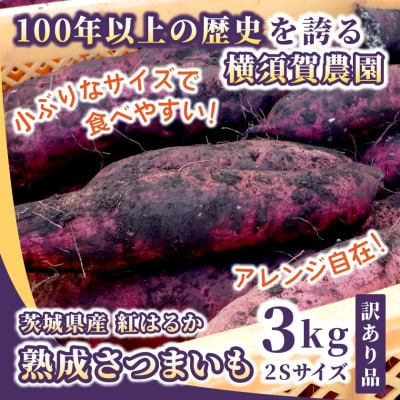 【訳あり】茨城県産 熟成さつまいも(生芋) 紅はるか 2Sサイズ 土付き3kg　家庭用 アレンジ◎