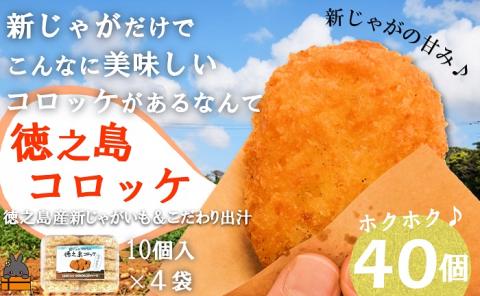 新じゃがだけでこんなに美味しい。徳之島コロッケ（40個）（ こだわり出汁 じゃがいも 冷凍 冷凍食品 食事 おかず お弁当 おやつ ホクホク 美味しい 簡単 料理 徳之島 奄美 鹿児島 )