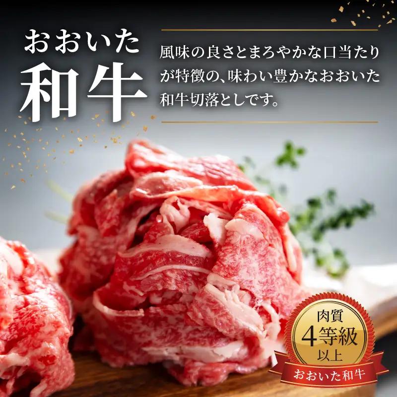 おおいた和牛 切落とし 1.2kg A01142