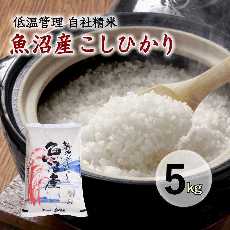 魚沼産コシヒカリ　厳選　低温管理　自社精米　5kg　新潟　こしひかり