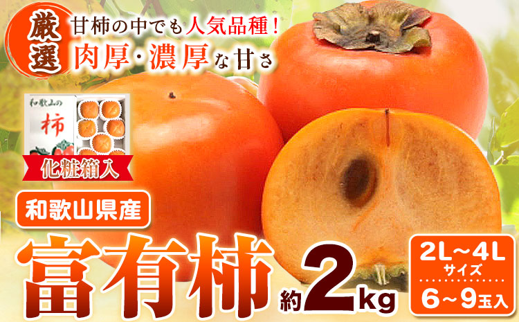 ＜先行予約＞［厳選・産直］和歌山産 富有柿 約 2kg (化粧箱入り) (2L～4Lサイズ) 厳選館《2025年11月上旬-12月下旬頃より出荷予定》和歌山県 日高町 柿 カキ フルーツ ジューシー---wsh_gsk12_ab1112_23_11000_2kg---