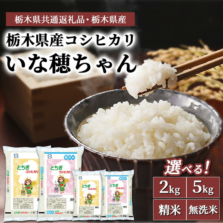 【ふるさと納税】【選べる!】栃木県産コシヒカリ いな穂ちゃん 2kg〜5kg【栃木県共通返礼品・栃木県産】◆