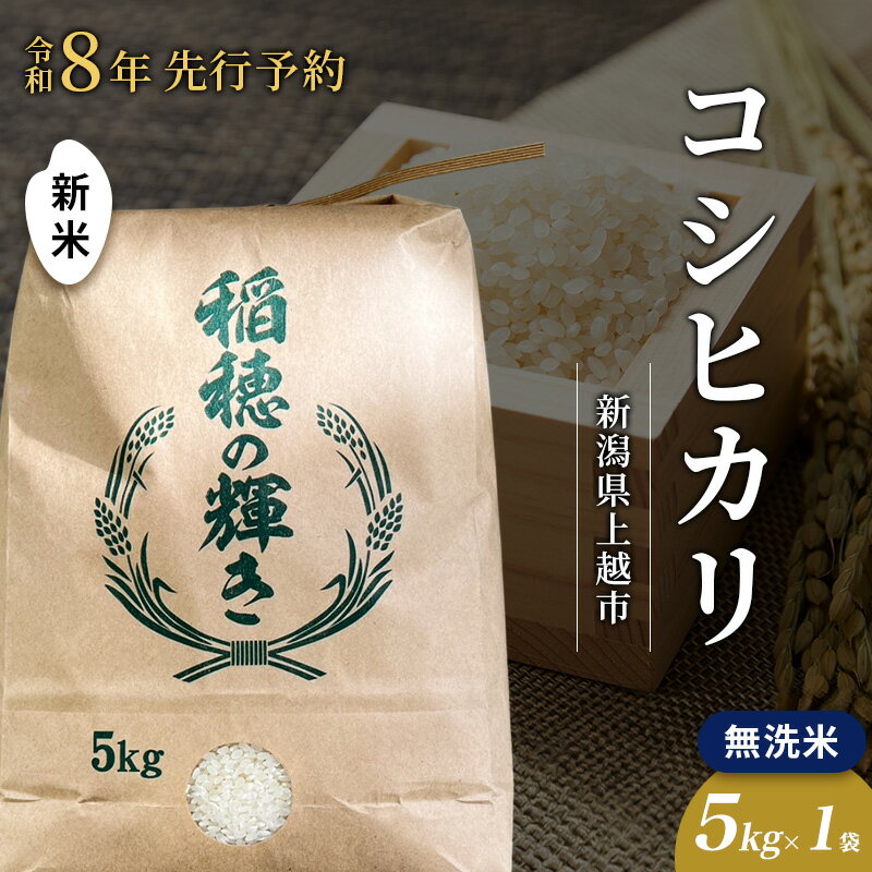 【ふるさと納税】先行予約 令和8年 新米 無洗米 新潟県上越市産 コシヒカリ 5kg 5キロ お米 コメ こしひかり 澤井商事　お届け：2026年11月初旬～12月下旬