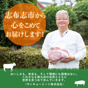 t004-011 【定期便全3回】国産黒毛和牛と九州産豚肉の食卓お助けゴーゴー定期便 計5.55kg