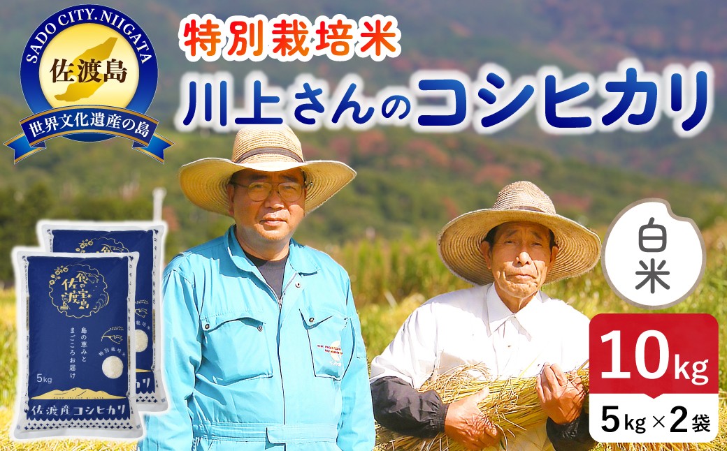 
                  佐渡島産コシヒカリ「川上さんのお米」白米10kg（5kg×2袋）令和7年産 特別栽培米 単一原料米 平清水の水で育てた | 新潟県産コシヒカリ 新潟産コシヒカリ 佐渡産コシヒカリ 新潟県産こしひかり 佐渡産こしひかり お米 米 こしひかり 白米 精米 ブランド米 おこめ コメ 10キロ 農家直送 にいがた さど 新潟県 佐渡市
                