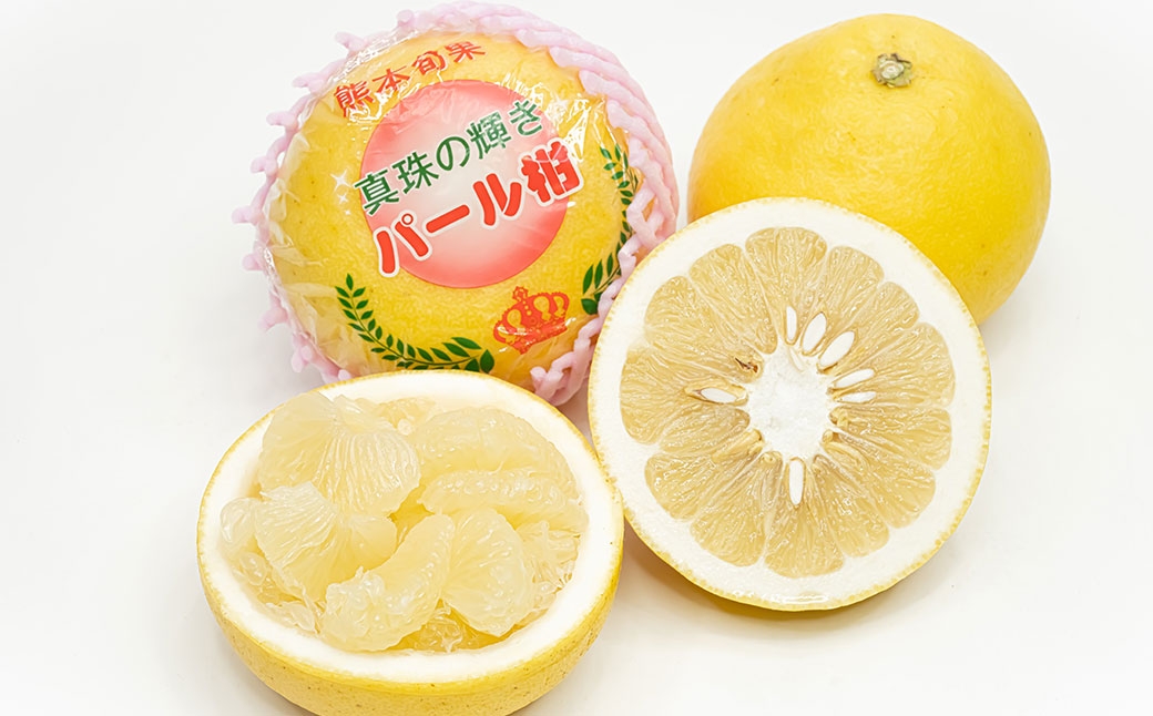 パール柑 文旦 12～36玉 約10kg