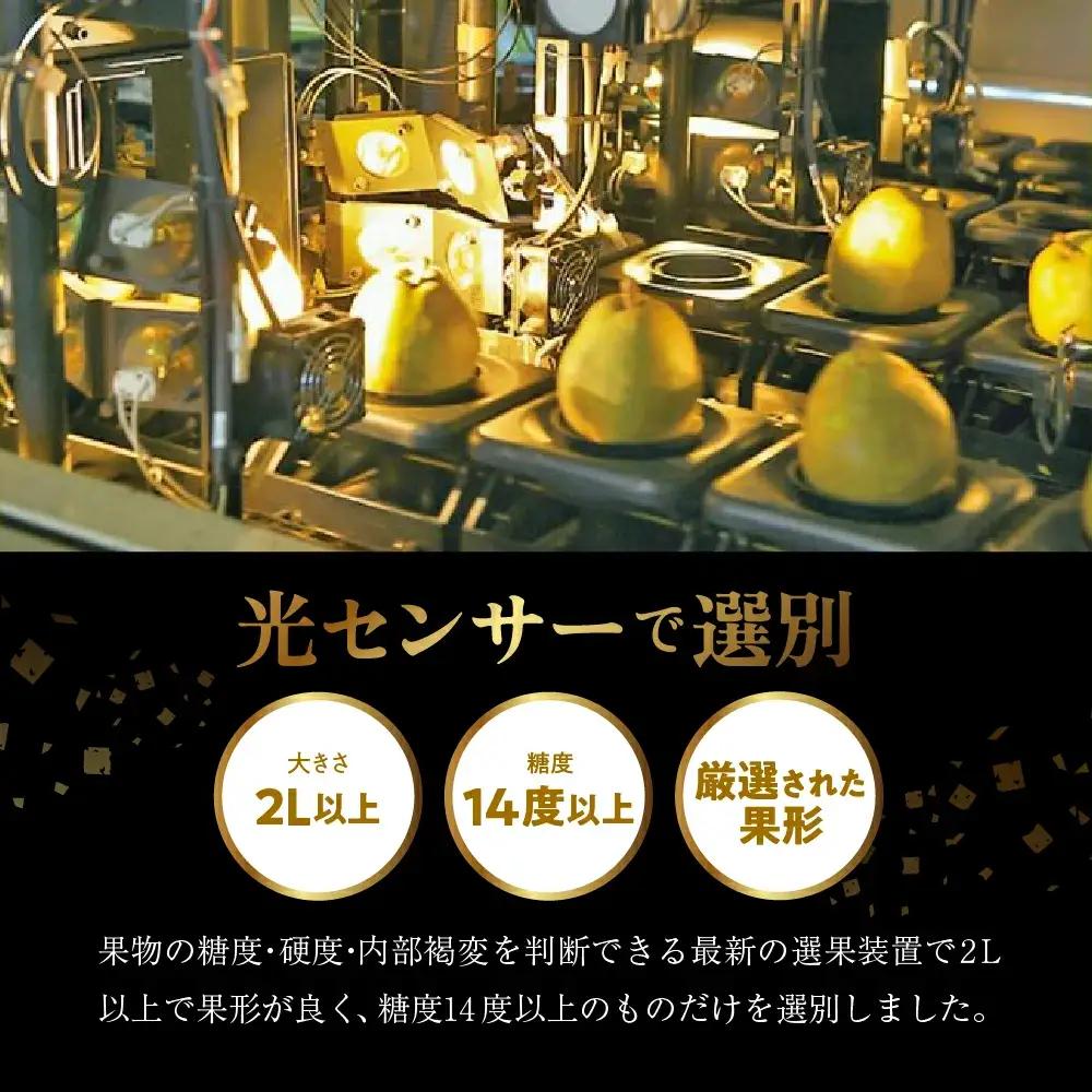 スーパー ラ・フランス 5kg 洋梨 フルーツ 果物 山形 ラフランス