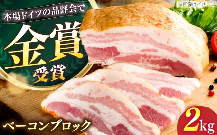 
                  ベーコン ブロック 2kg《豊前市》【みやこハム】[VAN011] 肉 豚肉 ベーコン ギフト べーこん かたまり ベーコン 豚 肉 べーこん 加工品 冷凍 朝ごはん 朝食 BBQ バーベキュー おつまみ ギフト
                