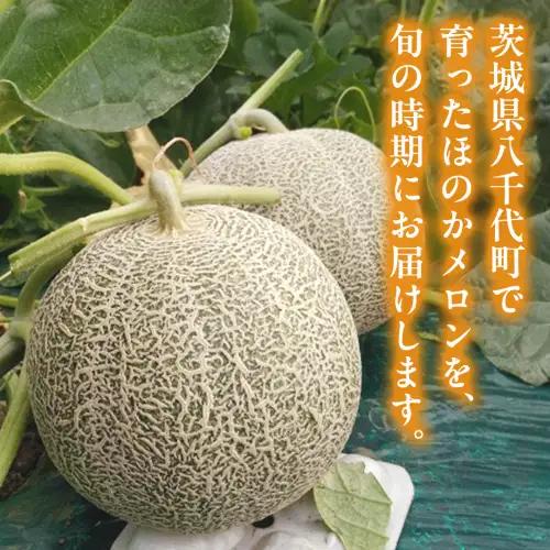 高評価★4.8【先行予約】茨城県産赤肉メロン4-5玉 (2026年5月下旬から発送開始) | ほのかメロン