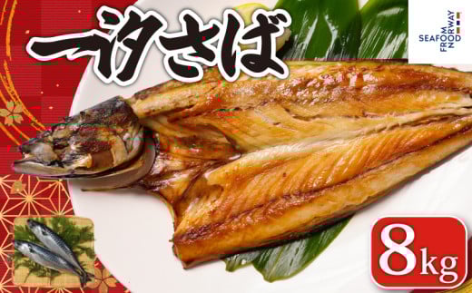 一汐さば 8kg さば 鯖 さぬき塩 塩 塩さば 塩鯖 鯖の開き 無添加 添加物不使用 ノルウェー 厳選 海の幸 大容量 おつまみ お弁当 惣菜 塩焼き おかず 調理用 料理 素材 冷凍 冷凍品 長期保存 保存食 鮮度 旨味 お取り寄せ グルメ 食品 魚 魚貝 魚介 ギフト 贈物 贈り物 プレゼント 海鮮 ふるさと納税鯖 ふるさと納税さば ふるさと納税 千葉県 銚子市 送料無料 エドノフーズ