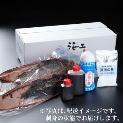 ふるさと納税 室戸市 定期便(6回お届け)訳あり炭焼きかつおのたたき　200g 1.5〜2人前 |  | 03