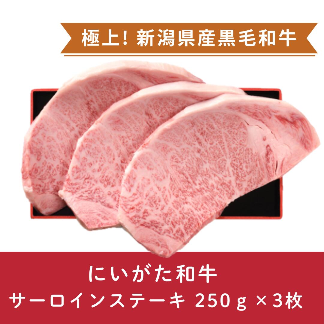 【ふるさと納税】にいがた和牛 サーロインステーキ 250g×3枚 にいがた和牛 黒毛和牛 牛肉 肉 牛 赤身肉 柔らか 上質 国産 ブランド牛 冷凍 化粧箱入 のし 贈答 贈り物 ギフト プレゼント お中元 お歳暮 父の日 母の日 敬老の日 ステーキ 新潟県 阿賀野市