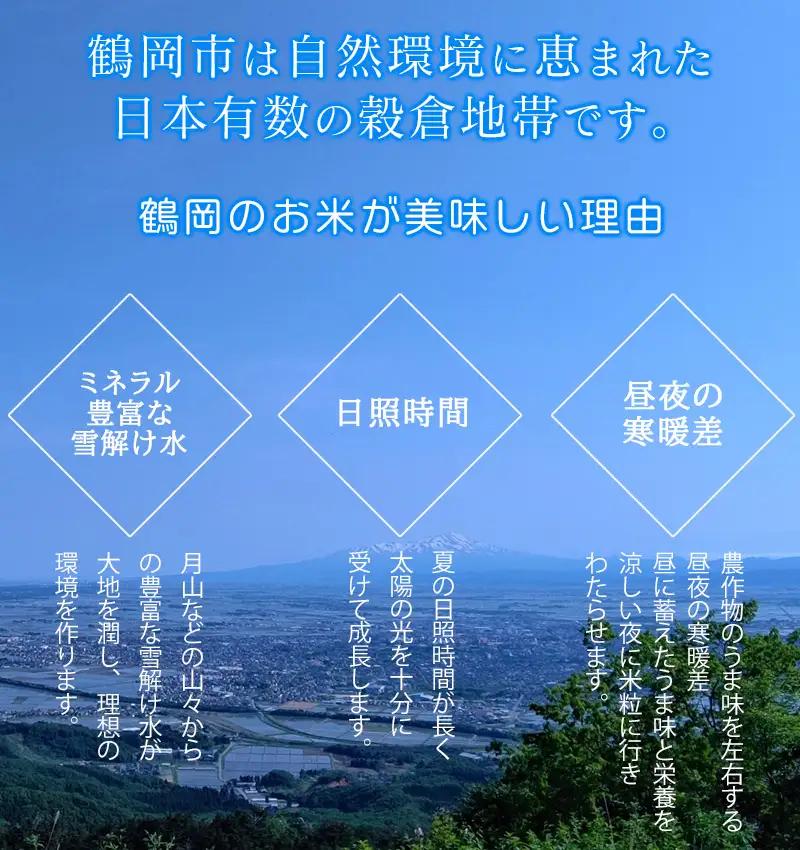 【令和7年産】 特別栽培米 山形つや姫 無洗米 5kg (5kg×1袋)　山形県鶴岡市産　株式会社菜な八（鶴岡ファーマーズ）