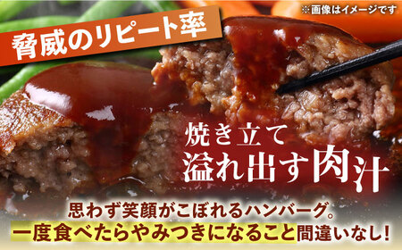 ハンバーグ屋の肉汁溢れる生ハンバーグ 150g×40個《豊前市》【鉄板ダイニング チオハウス】 ハンバーグ 冷凍[VDC005] ハンバーグ ジューシーハンバーグ ハンバーグ 肉 ハンバーグセット ハ