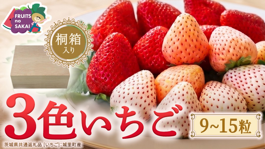 
                  【桐箱入り】3色いちご 9～15粒 【2027年1月から発送開始】（茨城県共通返礼品 [いちご]：城里町産） いちご イチゴ 苺  甘い 国産 人気 桐箱 贈答 贈り物 ギフト ふるさと納税
                