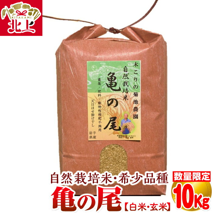 令和7年産予約受付【ふるさと納税】令和7年11月下旬〜発送 数量限定 木こりの菊池農園　自然栽培米【亀の尾】(白米・玄米) 10kg お米 ごはん 白米 玄米 自然栽培 人気のお米 北上 自然 栽培 米