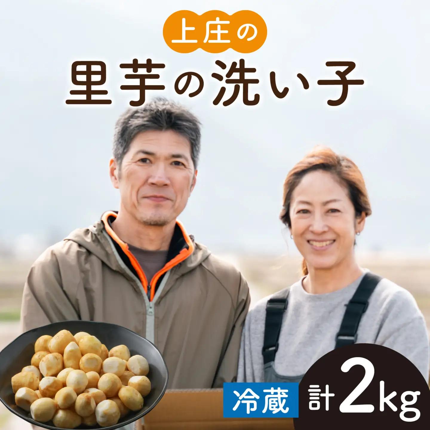 【先行予約】【10月発送】皮むきいらず、煮っ転がしに最適！上庄の里芋の洗い子【冷蔵】2kg