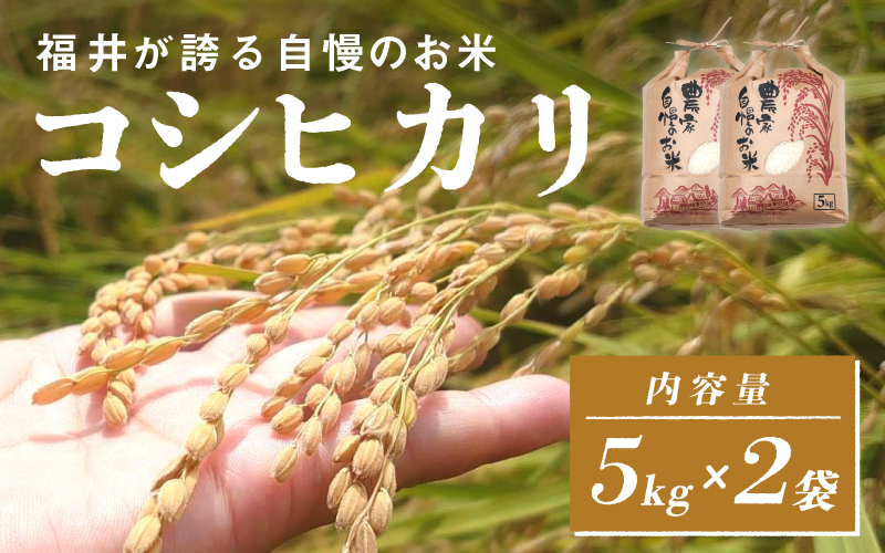 【ANA限定！500袋限定販売！！】＜2025年11月以降 順次発送予定＞令和7年産 コシヒカリ 通常便（1回配送）計10kg（5kg×2袋）