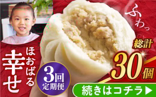 【3回定期便】【簡易包装】三代目長崎肉まん10個 （5個×2袋） 長与町/岩崎本舗 [EAB054] 中華まん 肉まん にくまん 冷凍 長崎 岩崎本舗 定期 定期便